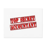 Top Secret Accountant