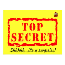 Top secret birthday surprise party invitation postcards