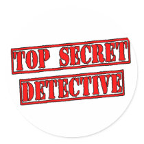 Top Secret Detective