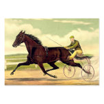 TOP Sulky Champ Business Card