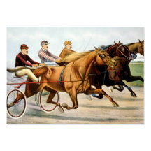 TOP Trotter Business Card