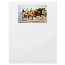 TOP Trotter Flyer