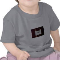 Torah Chai Tee Shirts