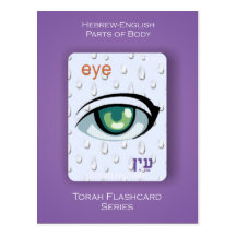 Torah Flashcards Series - Parts of Body Postcard