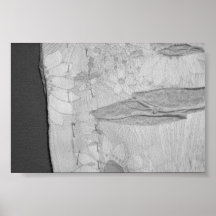Torn Blanket Poster