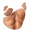 Torn T-shirt With Fake Abs (Light Skin)