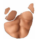 Torn T-shirt With Fake Abs (Light Skin)