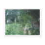 Torn Window Screen Postcards