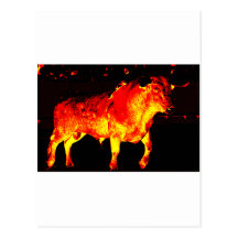 TORO BRAVO POSTCARD