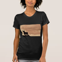 Toro T-shirts