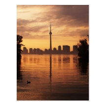 Toronto Postcard