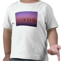 Toronto Skyline, Ontario, Canada T-shirts