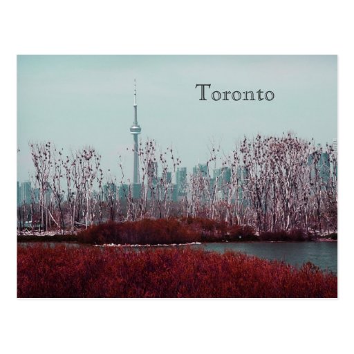 Birds Nest Postcards, Birds Nest Post Card Templates