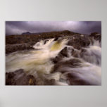 Torrent Poster