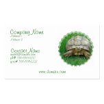 Tortoise Business Card
