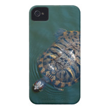 Tortoise iPhone 4 Case-Mate Cases