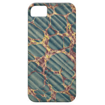 Tortoise Marbling Case iPhone 5 Case