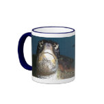 Tortoise 's life mugs