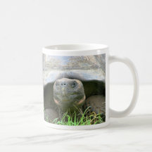 Tortoise, Santa Cruz Island, Galapagos Mug