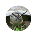 Tortoise, Santa Cruz Island, Galapagos Wallclock
