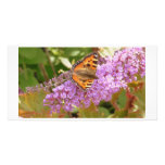 Tortoise shell, Butterfly Photo Cards