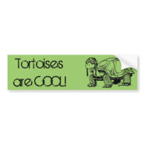 Tortoises are COOL! Bumper Sticker