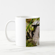 Tortoises Mugs