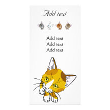 Tortoiseshell (tortoiseshell cat) personalized photo card