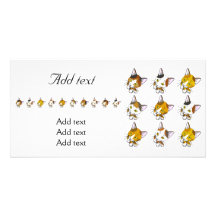 Tortoiseshells , tabby cats (三毛猫) picture card
