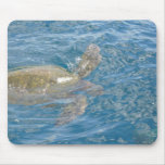 Tortue de mer verte - Hawaï Honu Tapis De Souris