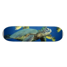 Tortue de mer verte planches à roulettes
