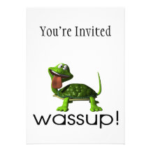 Tortue de Wassup Bristol