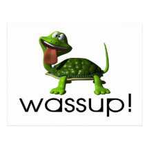 Tortue de Wassup Cartes Postales