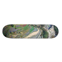 tortue peinte skateboard customisable