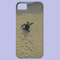 Tortue verte, (mydas de Chelonia), hatchling coques case-mate