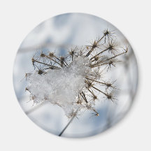 tortured heart refrigerator magnet