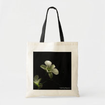 Totable Art by Metaphorphosis ~ orchids Canvas Bags