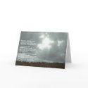 Total Serenity GC cards