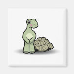 Totally Naked Tortoise Magnet