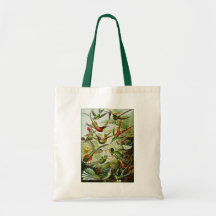 Tote: Hummingbirds ("Trochilidae") by Haeckel Tote Bag