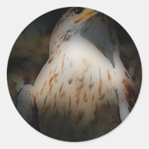 'Totem Hawk' Stickers