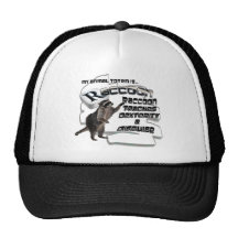TOTEMS TOTEM RACCOON TEACHES DEXTERITY / DISGUISE TRUCKER HATS