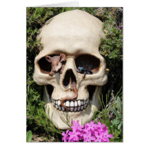 Totenkopf - Gothic / Karte
