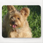 Toto Mouse Pad