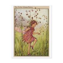 Totter-Grass Fairy Postcard