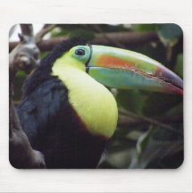Toucan Bird Mouse Pads