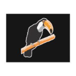 toucan bird post cards