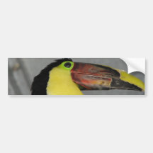 Toucan Bumpersticker Autocollant Pour Voiture