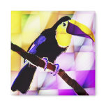 Toucan magnet