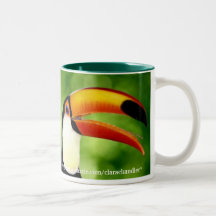 Toucan Mug